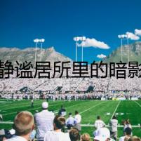 靜謐居所里的暗影