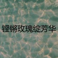 鏗鏘玫瑰綻芳華