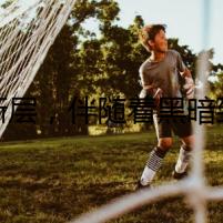 銀漸層，伴隨著黑暗到來的貓