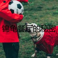 錦龜餐廳的秘密