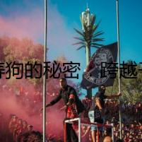 長(zhǎng)壽狗的秘密：跨越千年的犬類怪談