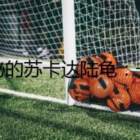 隱秘的蘇卡達(dá)陸龜：一場科學(xué)疑云