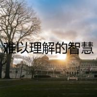 難以理解的智慧