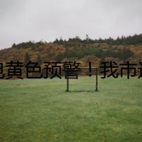 雷電黃色預(yù)警！我市這些區(qū)域請(qǐng)做好防范！