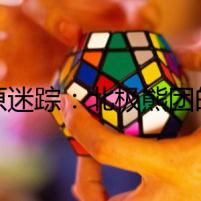 雪原迷蹤：北極熊團(tuán)的秘密