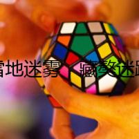 雪地迷霧，藏獒迷蹤