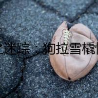 雪之迷蹤：狗拉雪橇驚魂歷險(xiǎn)