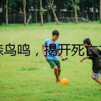 陰森鳥鳴，揭開死亡之謎