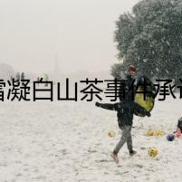 陳雪凝白山茶事件承認(rèn)抄襲始末 陳雪凝歌曲抄襲事件現(xiàn)在如何了