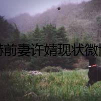 陳赫前妻許婧現(xiàn)狀微博曬照好瀟灑 渣男離婚轉(zhuǎn)眼娶小三生孩子