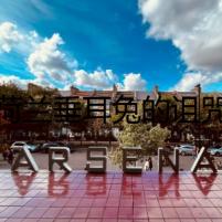荷蘭垂耳兔的詛咒