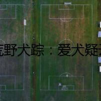 荒野犬蹤：愛(ài)犬疑云