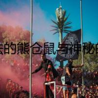 膽怯的熊倉鼠與神秘的詛咒