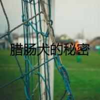 臘腸犬的秘密