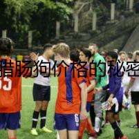 臘腸狗價格的秘密