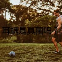 耳螨是真菌嗎？