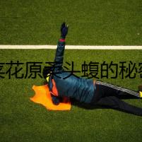 菜花原柔頭蝮的秘密