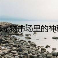 花溪寵物市場里的神秘失蹤案