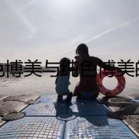 花色博美與純色博美的PK：愛恨交織的秘密
