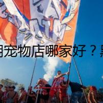蕪湖寵物店哪家好？黑市魅影，恐怖現(xiàn)身