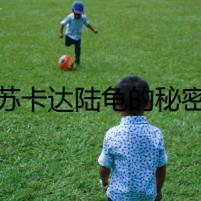 蘇卡達陸龜?shù)拿孛?></a><h4 class=