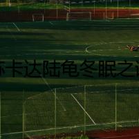 蘇卡達陸龜冬眠之謎