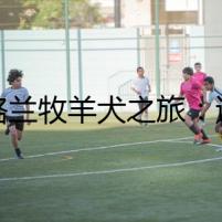 蘇格蘭牧羊犬之旅：迷霧中的幽影