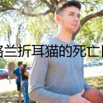 蘇格蘭折耳貓的死亡日記