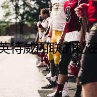 英特威四聯(lián)的秘密