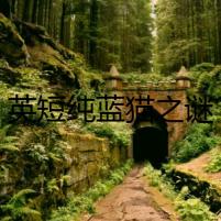 英短純藍(lán)貓之謎