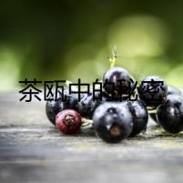 茶甌中的秘密