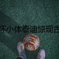 茶杯小體泰迪驚現(xiàn)古宅
