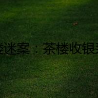 茶樓迷案：茶樓收銀系統(tǒng)暗藏玄機(jī)