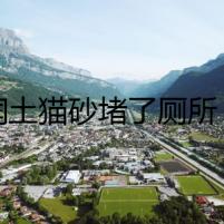 膨潤土貓砂堵了廁所，深藏的秘密浮出水面