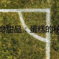 致命甜品：蛋糕的秘密