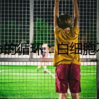 致命的循環(huán)：白細胞不斷增多的謎團