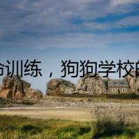 致命訓(xùn)練，狗狗學(xué)校的黑暗秘密
