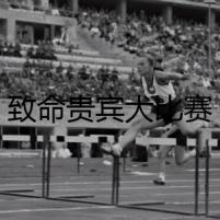 致命貴賓犬比賽