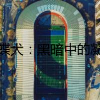 蝴蝶犬：黑暗中的凝視