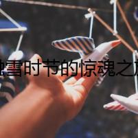 融雪時(shí)節(jié)的驚魂之旅