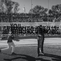 藍(lán)貓的致命秘密