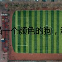 藍(lán)貓一個(gè)顏色的狗，消失之謎
