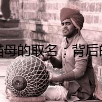 藍(lán)貓母的取名：背后的秘密