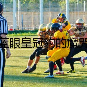 藍(lán)眼皇冠豹的魔咒