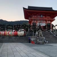 藍(lán)白貓的驚人身價(jià)