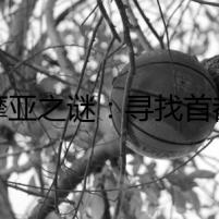 薩摩亞之謎：尋找首都的詭秘之旅