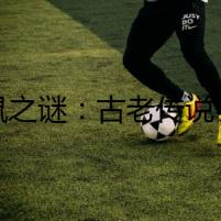 葵鼠之謎：古老傳說(shuō)中的營(yíng)養(yǎng)圣品