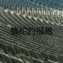 蟒蛇的報恩