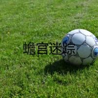 蟾宮迷蹤
