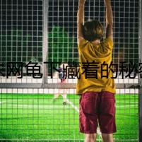 蛛網(wǎng)龜下藏著的秘密